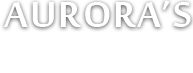 Aurora's PG College (MCA) Moosarambagh